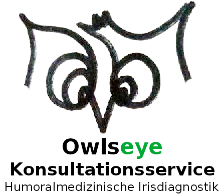 owlseye logo